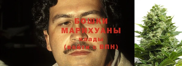 трава Арсеньев