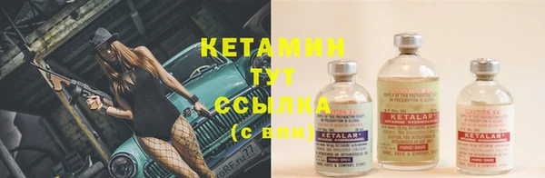 трава Арсеньев